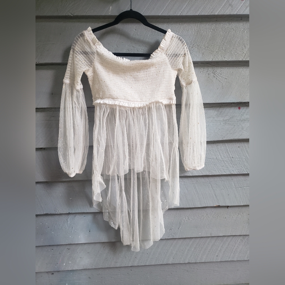 Sheer high low crop top